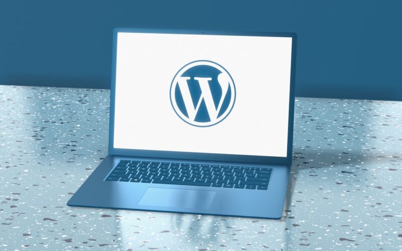 WordPress Sitesi Olan Firmalar Neden Düzenli Bakım Almalı?